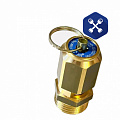 Клапан предохранительный 3/8" (10 бар) ("REMEZA")