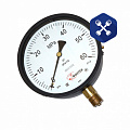 Манометр  60 МПа, ф=160 мм, штуцер М20х1.5, IP5 (АО "ФИЗТЕХ")