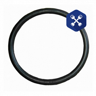 Кольцо уплотнительное Лиаз