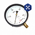 Манометр  40 МПа, ф=160 мм, штуцер М20х1.5, IP54 (АО "ФИЗТЕХ")