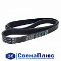 Ремень 1575 6PK ("DAYCO")